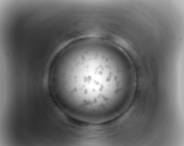 X0000088651216200706011215