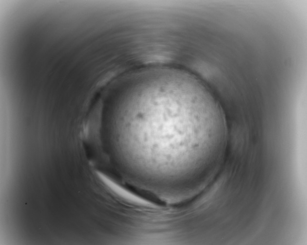 X0000088651217200706011215