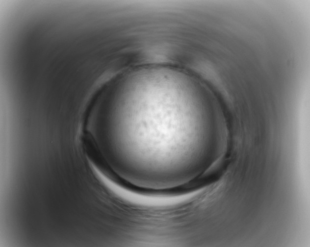 X0000088651218200706011215