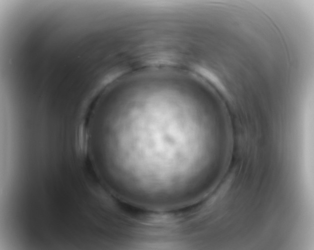 X0000088651219200706011215