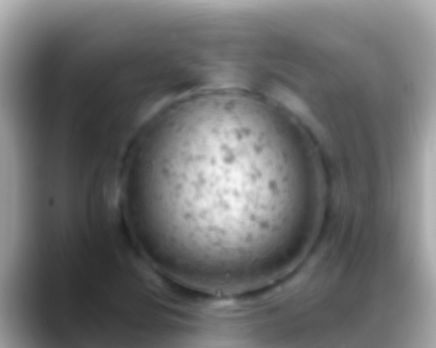 X0000088651220200706011215