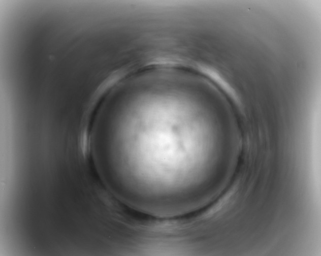 X0000088651221200706011215