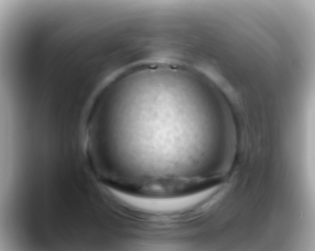 X0000088651224200706011215