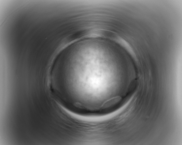 X0000088651226200706011215
