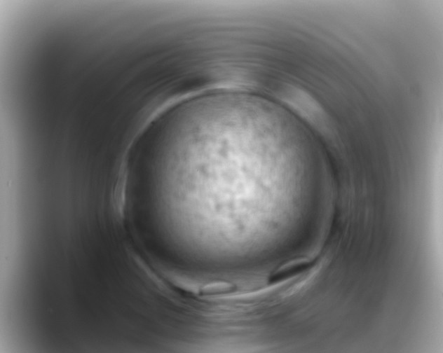 X0000088651228200706011215