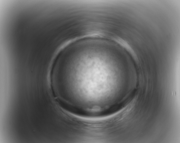 X0000088651230200706011215