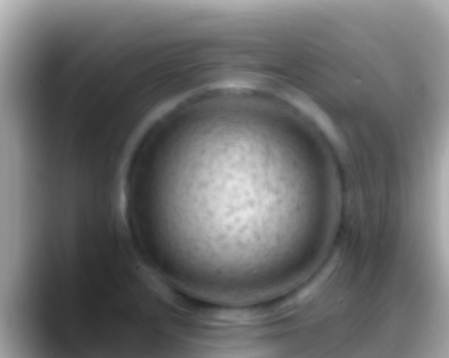 X0000088651232200706011215