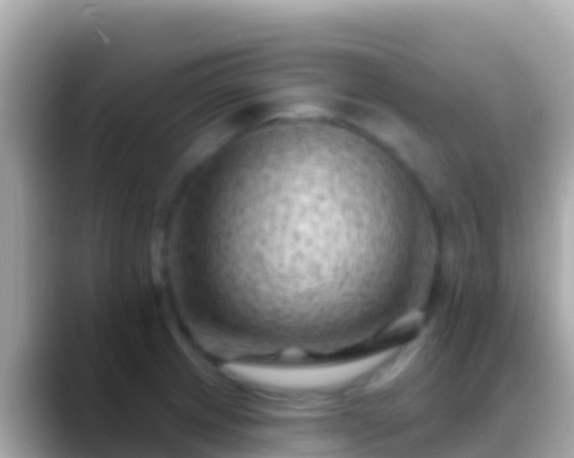 X0000088651233200706011215
