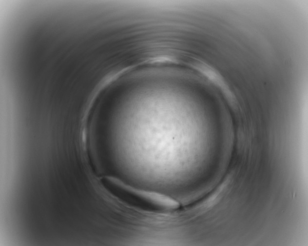 X0000088651234200706011215