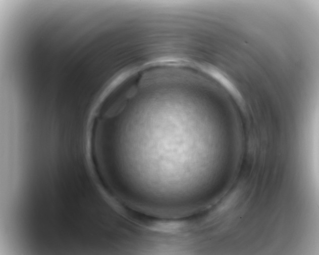 X0000088651237200706011215