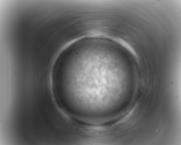 X0000088651239200706011215