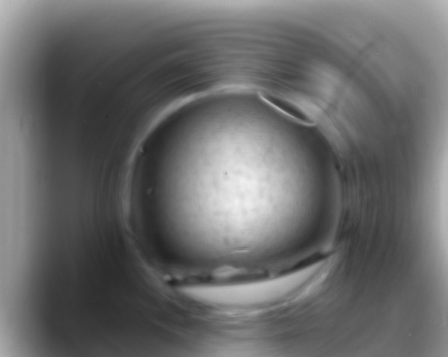 X0000088651244200706011215