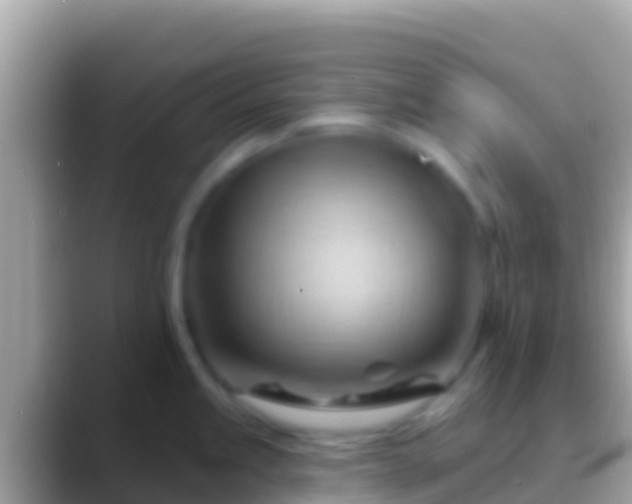 X0000088651245200706011215