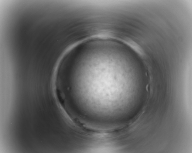 X0000088651248200706011215