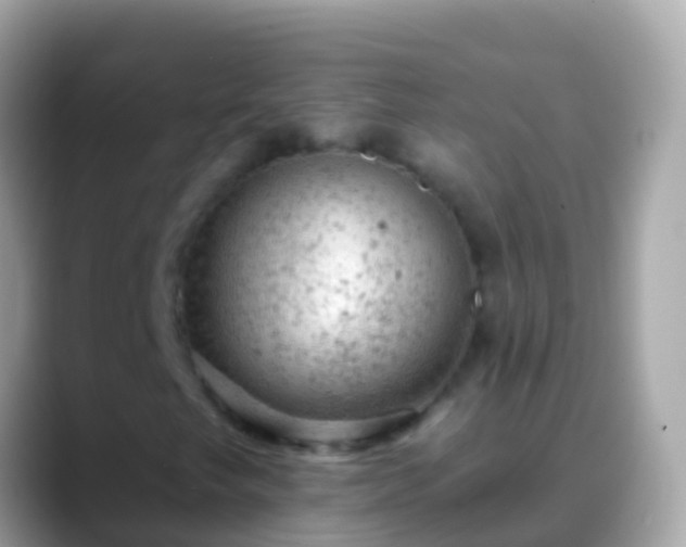 X0000088651249200706011215
