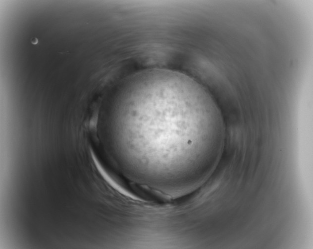 X0000088651250200706011214