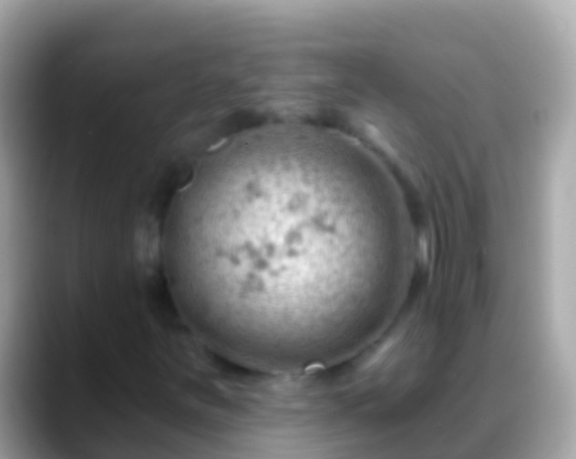 X0000088651251200706011214