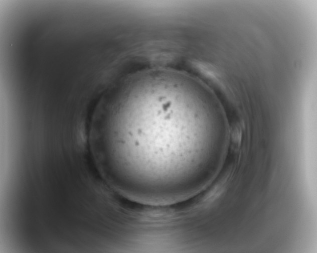 X0000088651252200706011214