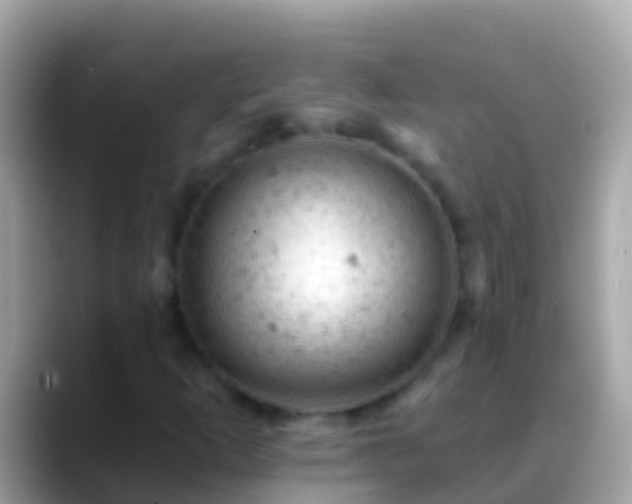 X0000088651253200706011214