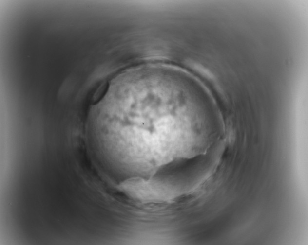 X0000088651255200706011214