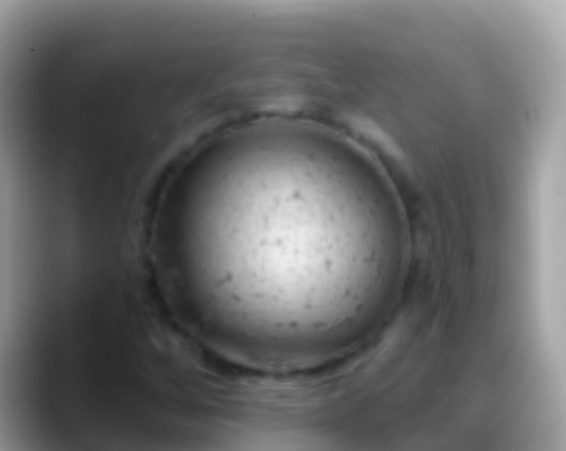X0000088651256200706011214