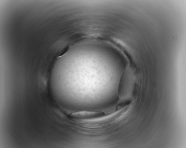 X0000088651257200706011214