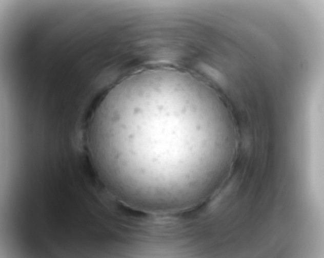 X0000088651258200706011214