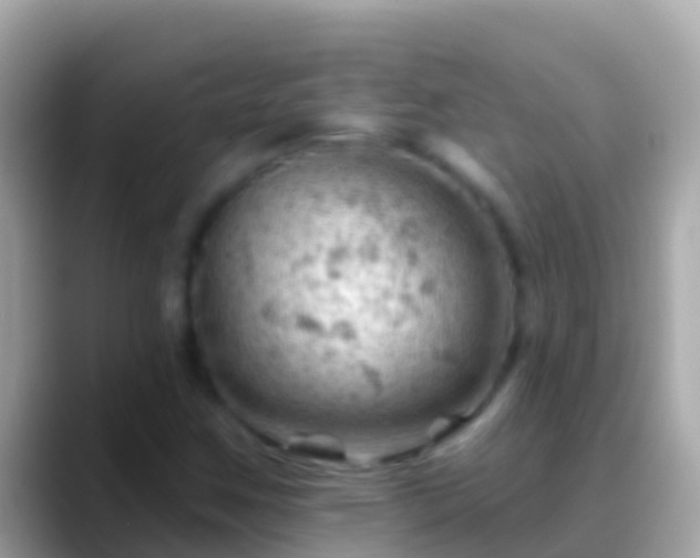 X0000088651259200706011214