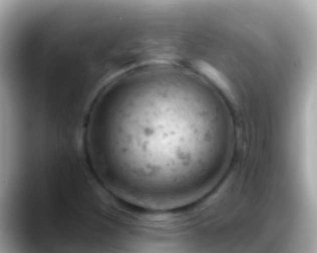 X0000088651260200706011214