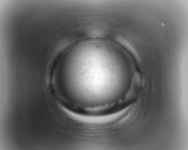 X0000088651261200706011214