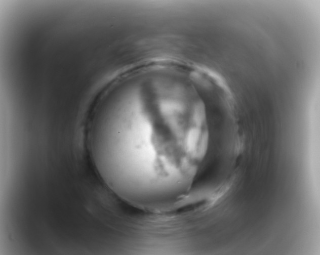 X0000088651263200706011214