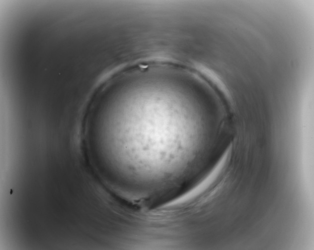 X0000088651264200706011214