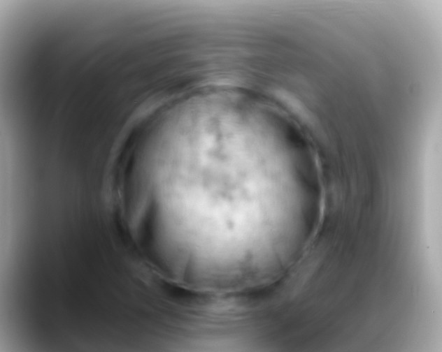 X0000088651266200706011214