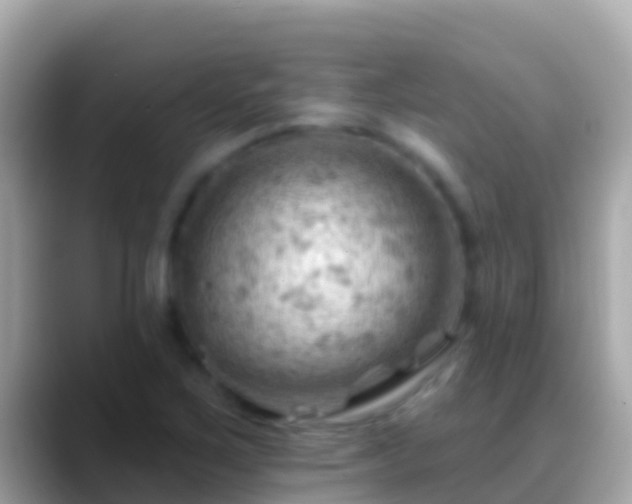 X0000088651267200706011214