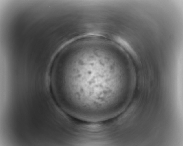 X0000088651268200706011214