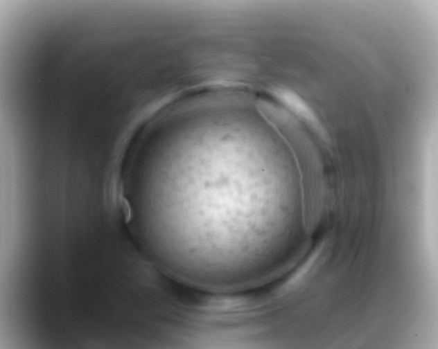 X0000088651269200706011214
