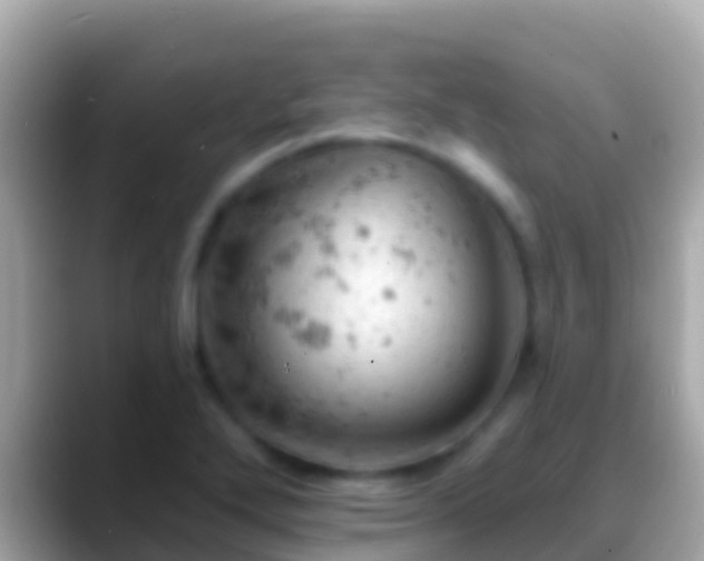X0000088651272200706011214