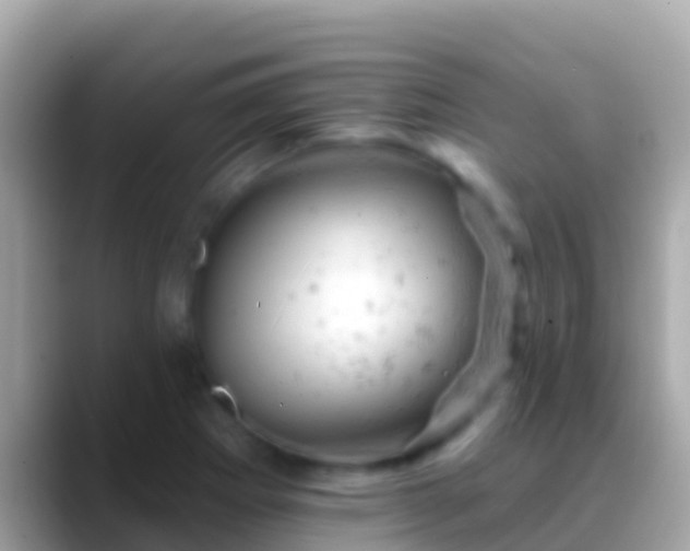 X0000088651273200706011214