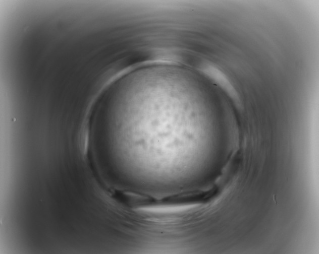 X0000088651276200706011214