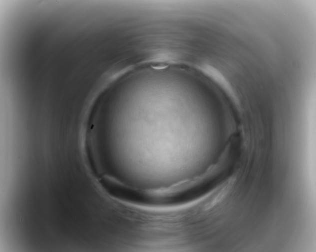 X0000088651277200706011214