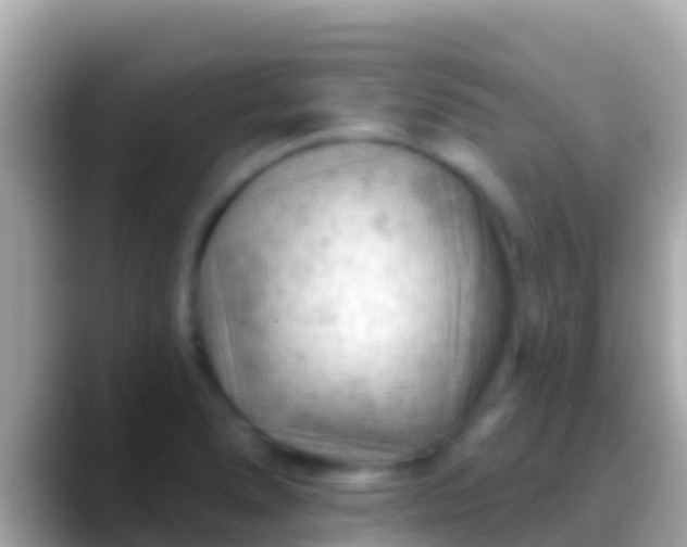 X0000088651278200706011214