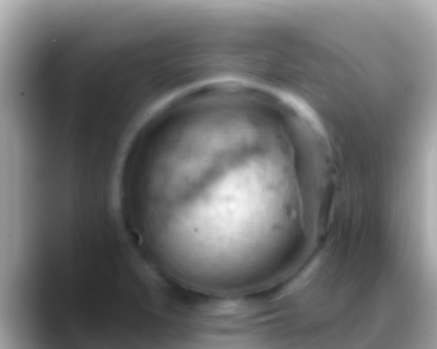 X0000088651279200706011214