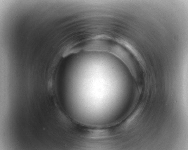 X0000088651281200706011214
