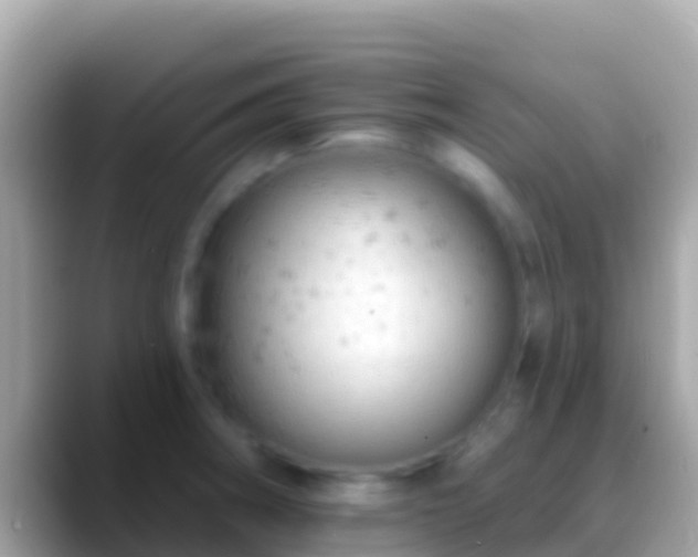 X0000088651282200706011214