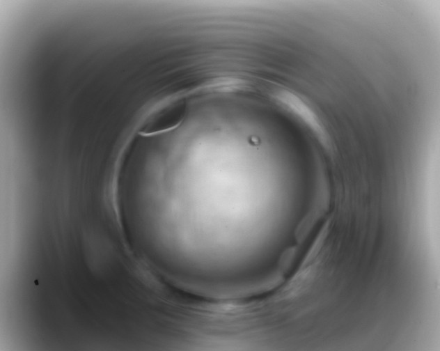 X0000088651283200706011214