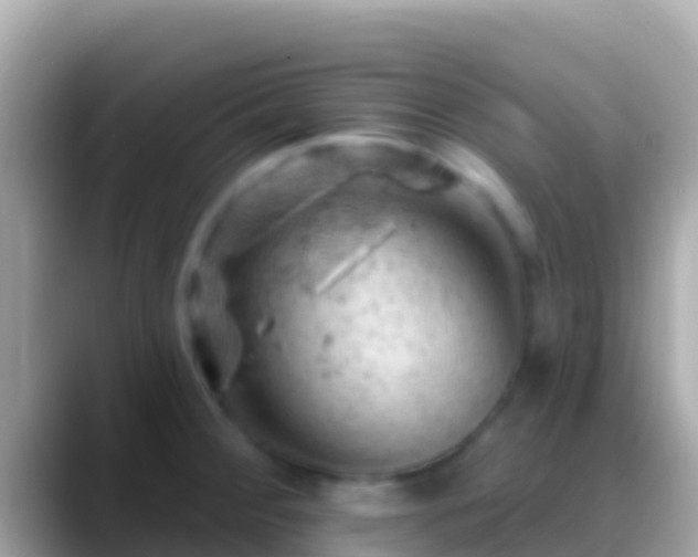 X0000088651284200706011214