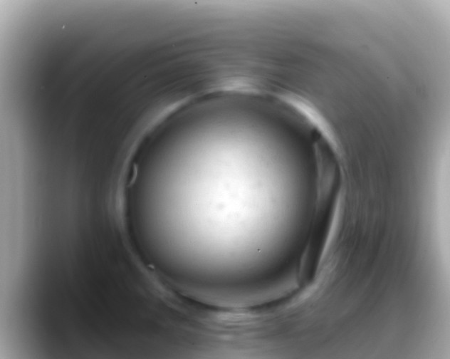X0000088651285200706011214
