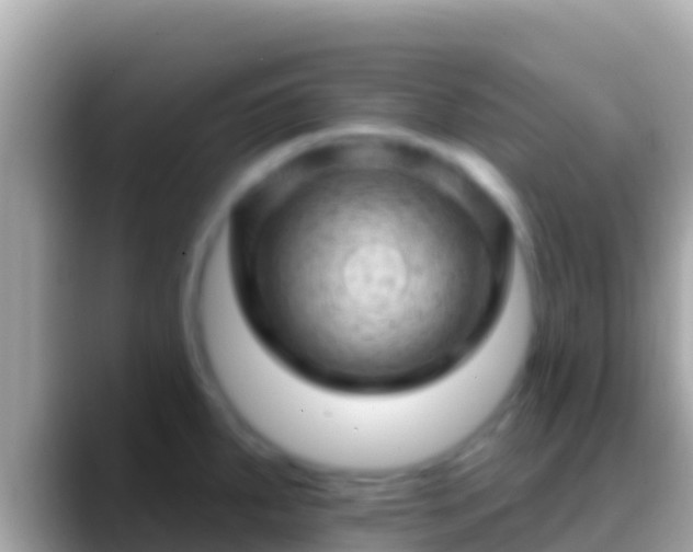 X0000088651287200706011214