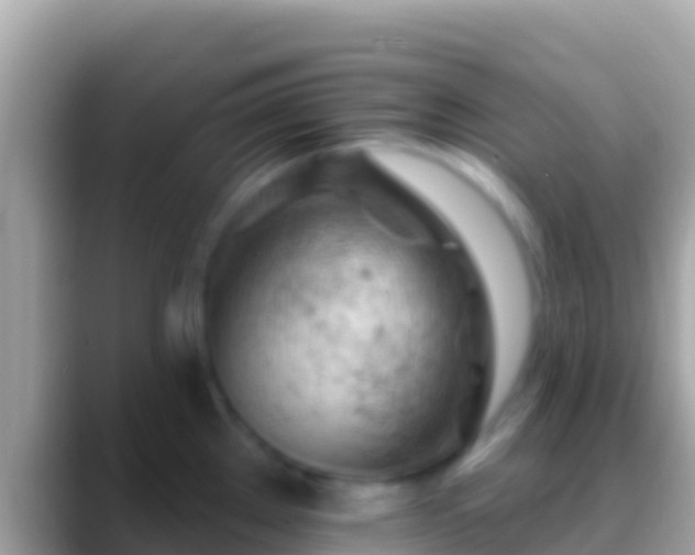 X0000088651289200706011214