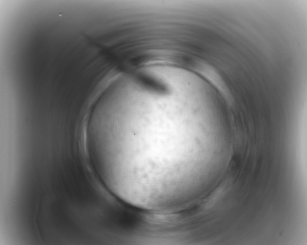 X0000088651290200706011214